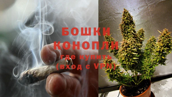 ешки Лагань