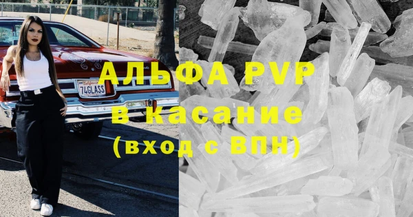 спиды Ладушкин