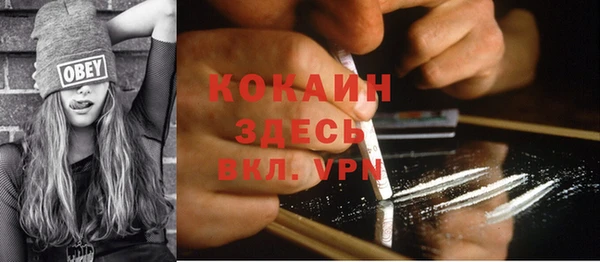 прущие грибы Куйбышев